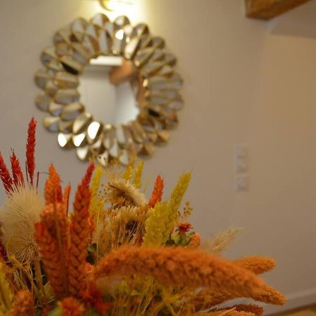 Charmant Appartement - Proche Chateau Cite Carcassone Kültér fotó