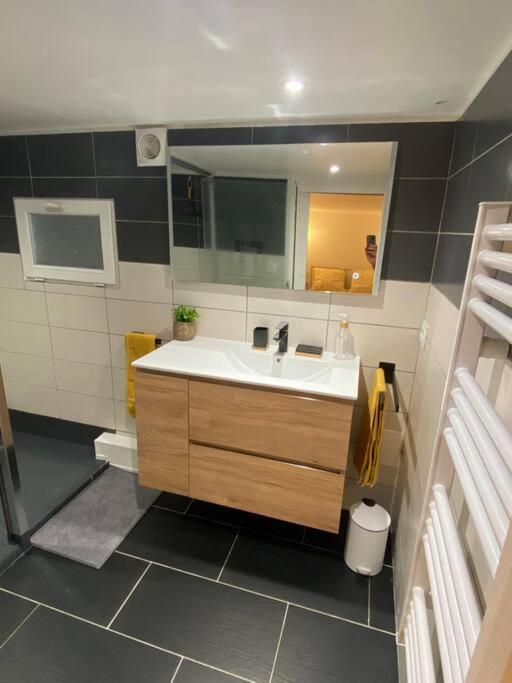 Charmant Appartement - Proche Chateau Cite Carcassone Kültér fotó