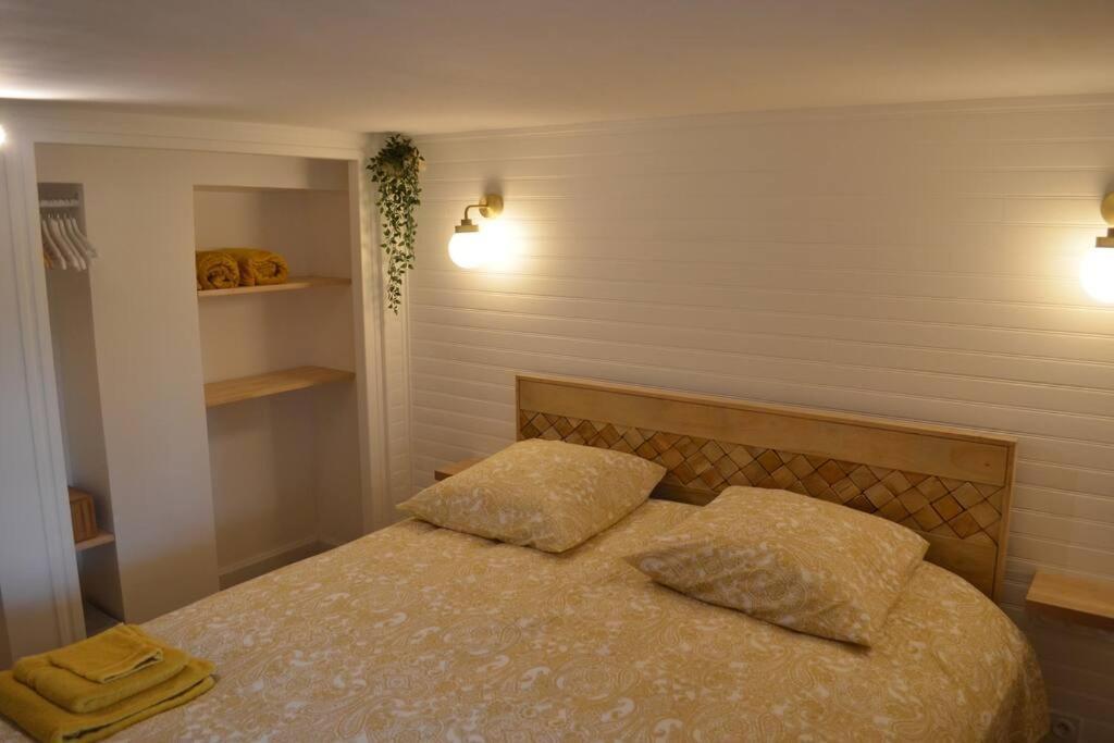 Charmant Appartement - Proche Chateau Cite Carcassone Kültér fotó