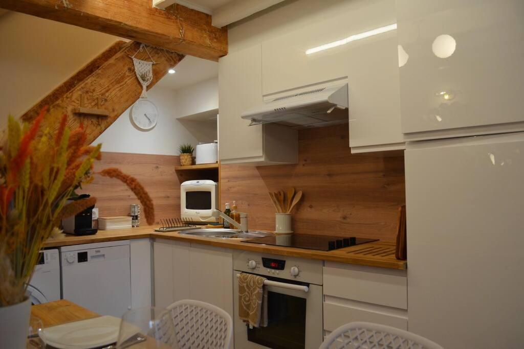 Charmant Appartement - Proche Chateau Cite Carcassone Kültér fotó